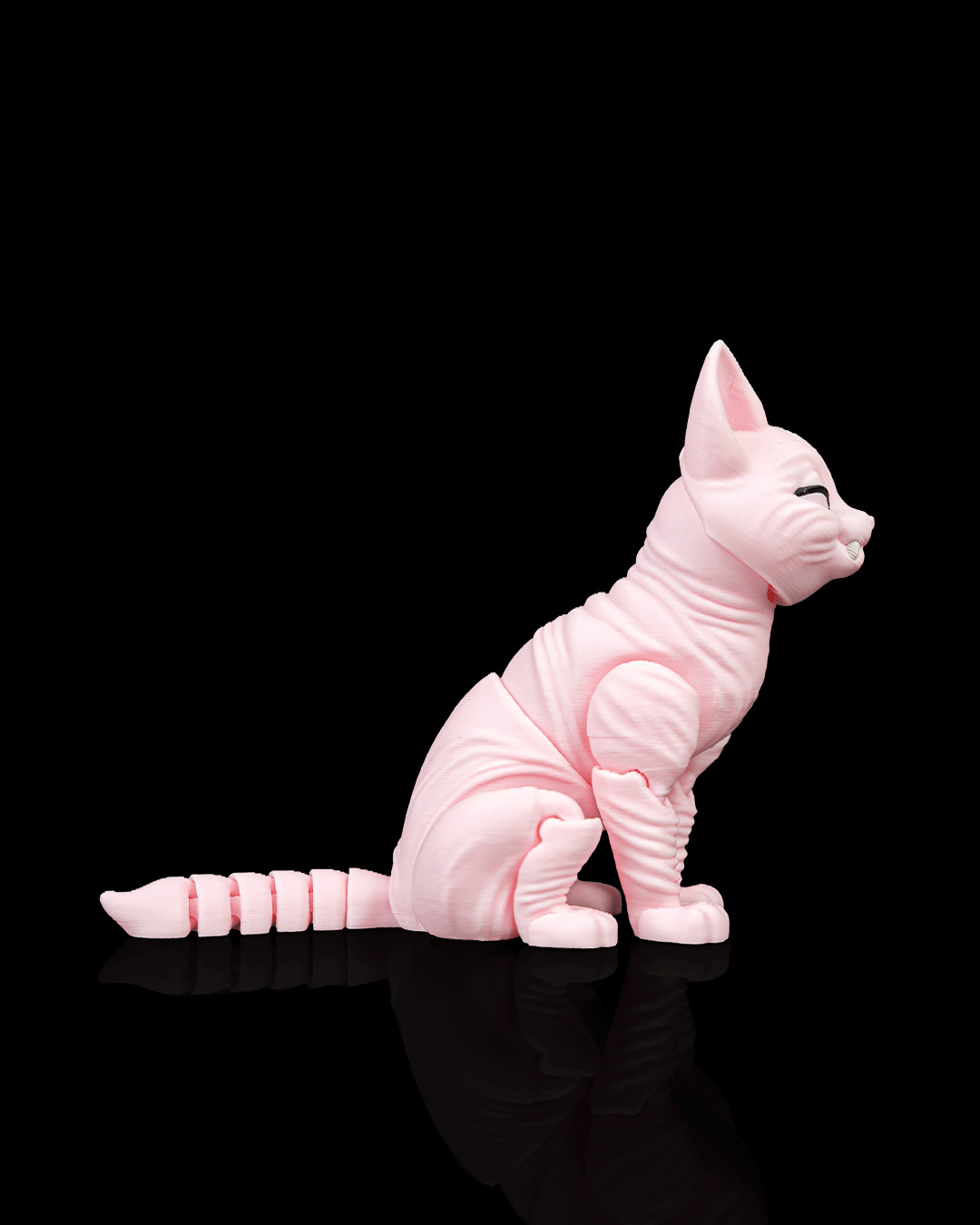 Ruby, the Sphynx - view 6