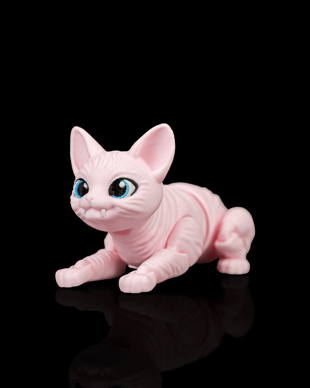 Ruby, the Sphynx - view 7
