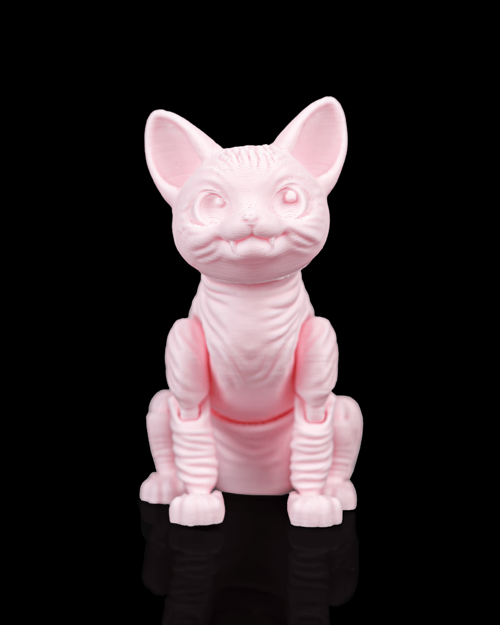 Ruby, the Sphynx - view 8