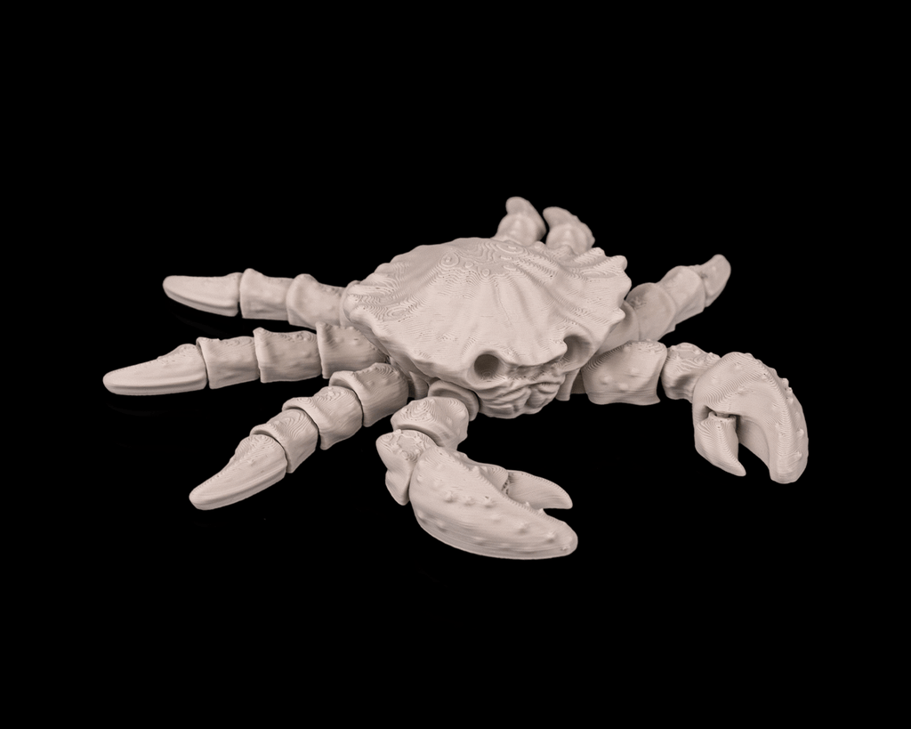 Skeleton Crab - view 3