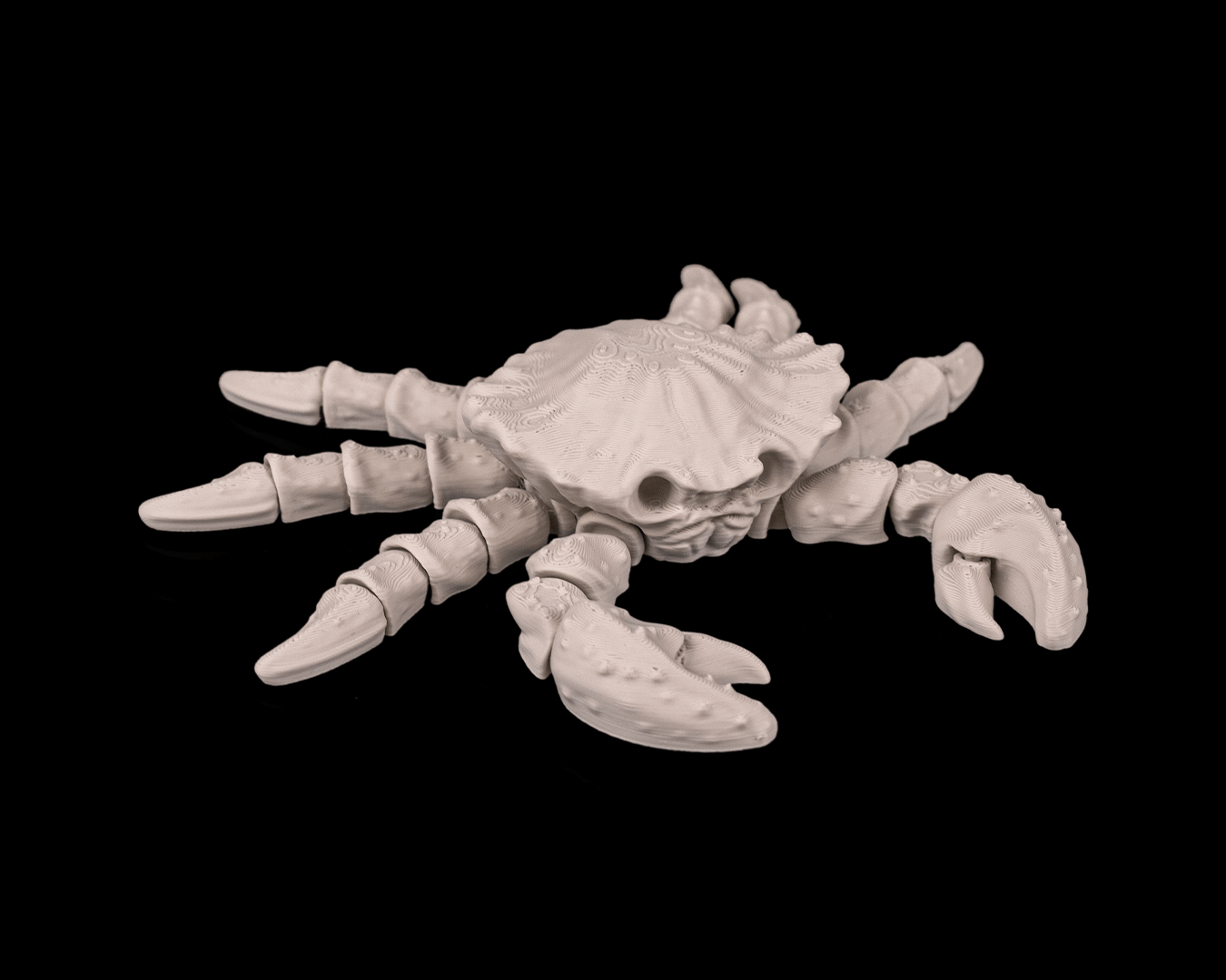 Skeleton Crab - view 3