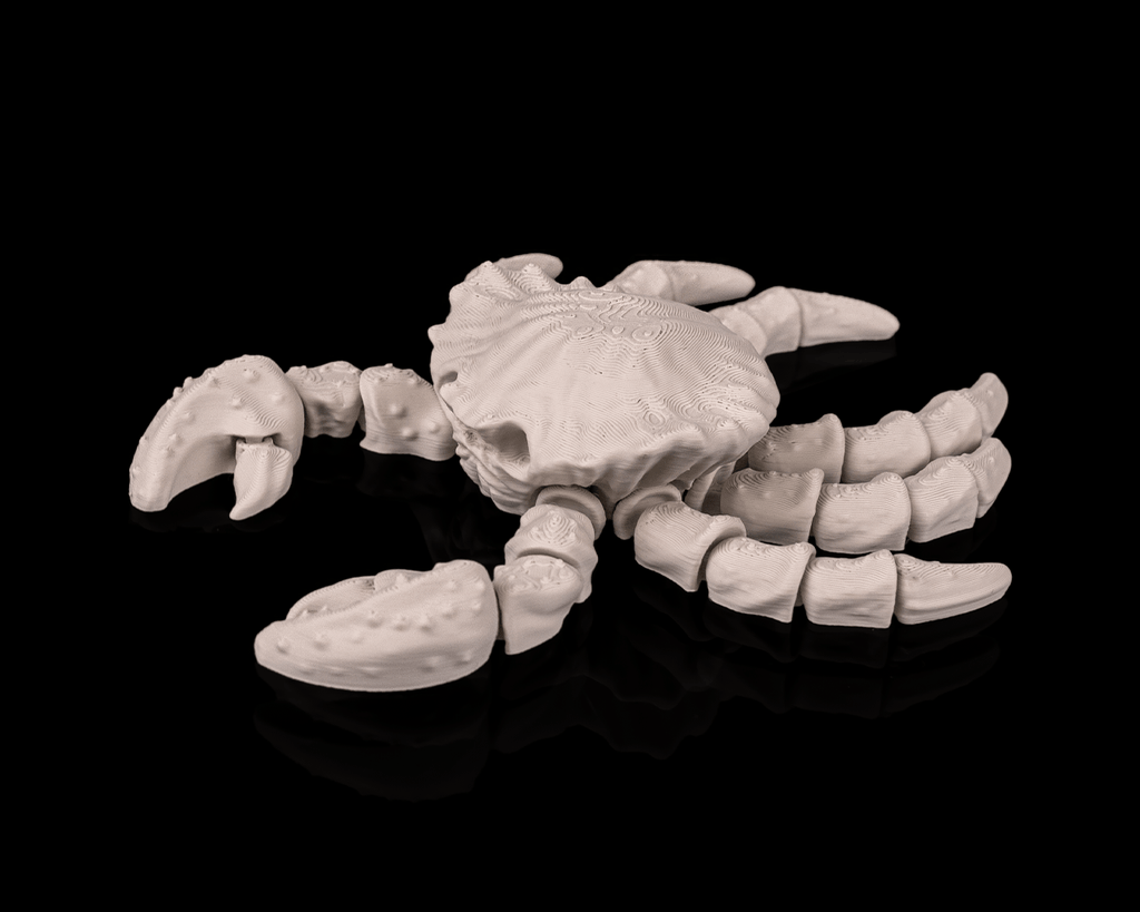 Skeleton Crab - view 4