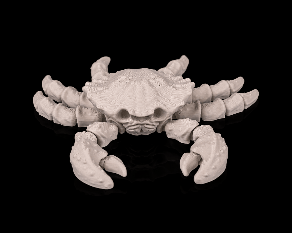 Skeleton Crab - view 5