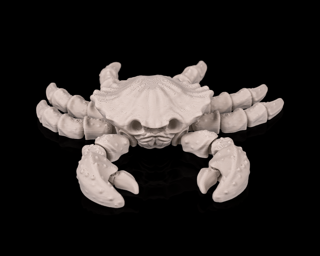 Skeleton Crab - view 5