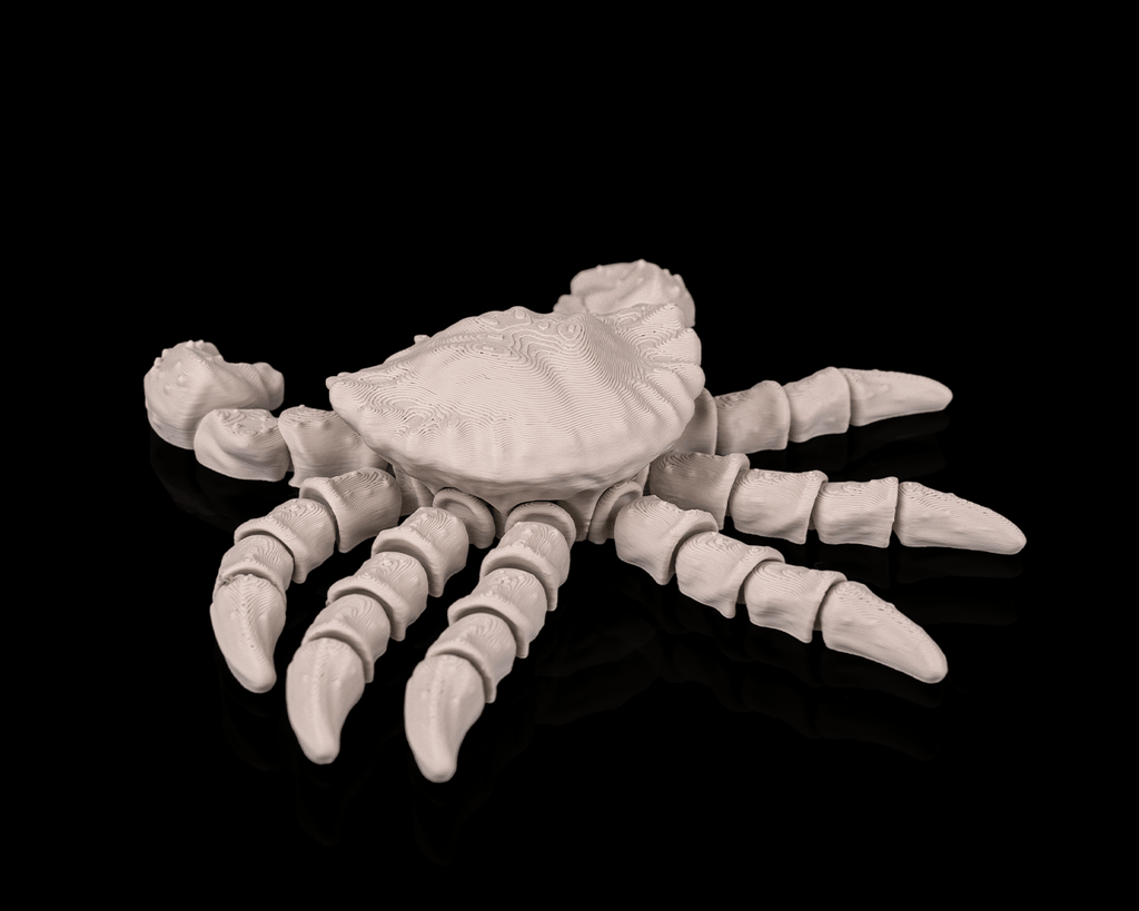 Skeleton Crab - view 6