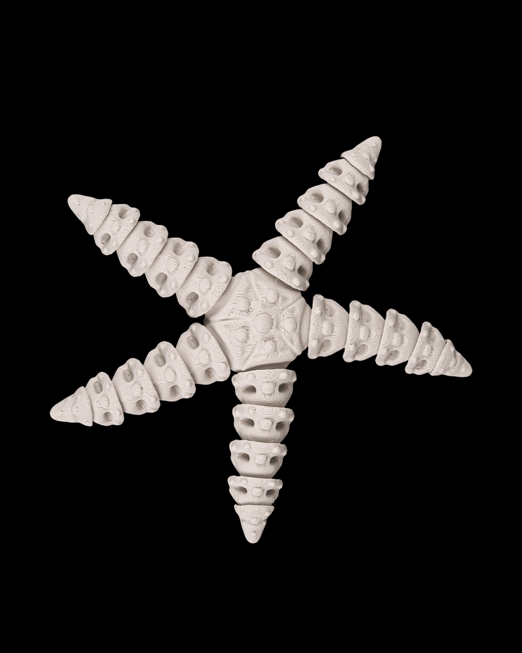 Skeleton Starfish - view 2