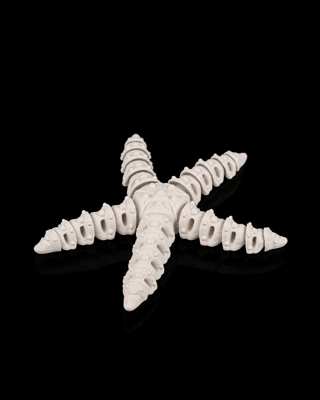 Skeleton Starfish - view 3
