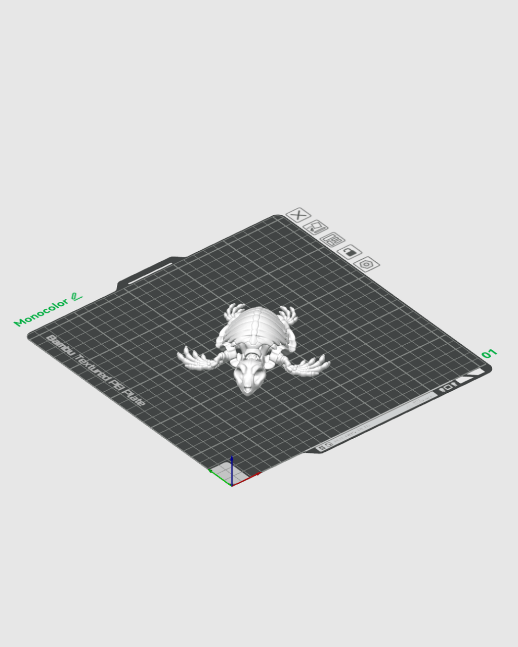 Skeleton Turtle - view 6
