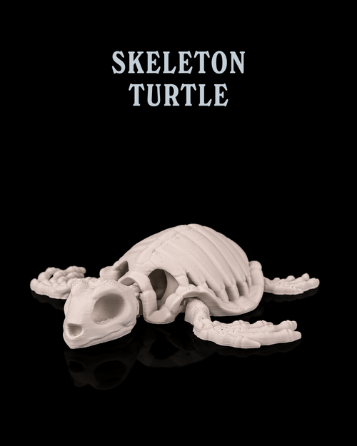Skeleton Turtle