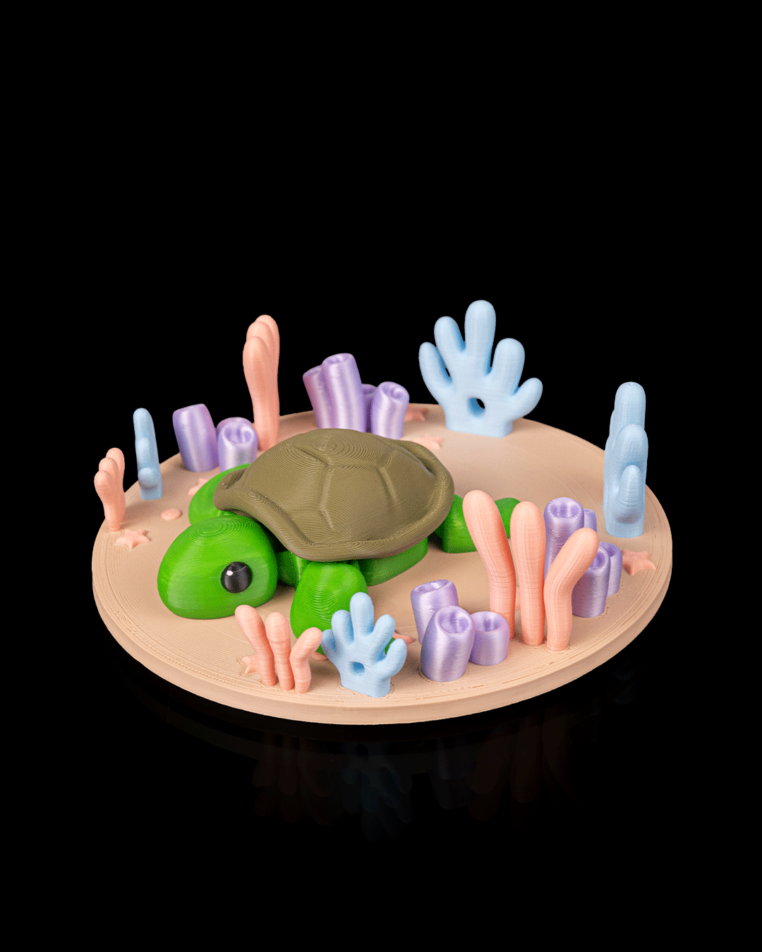 Slow Turtle - view 4