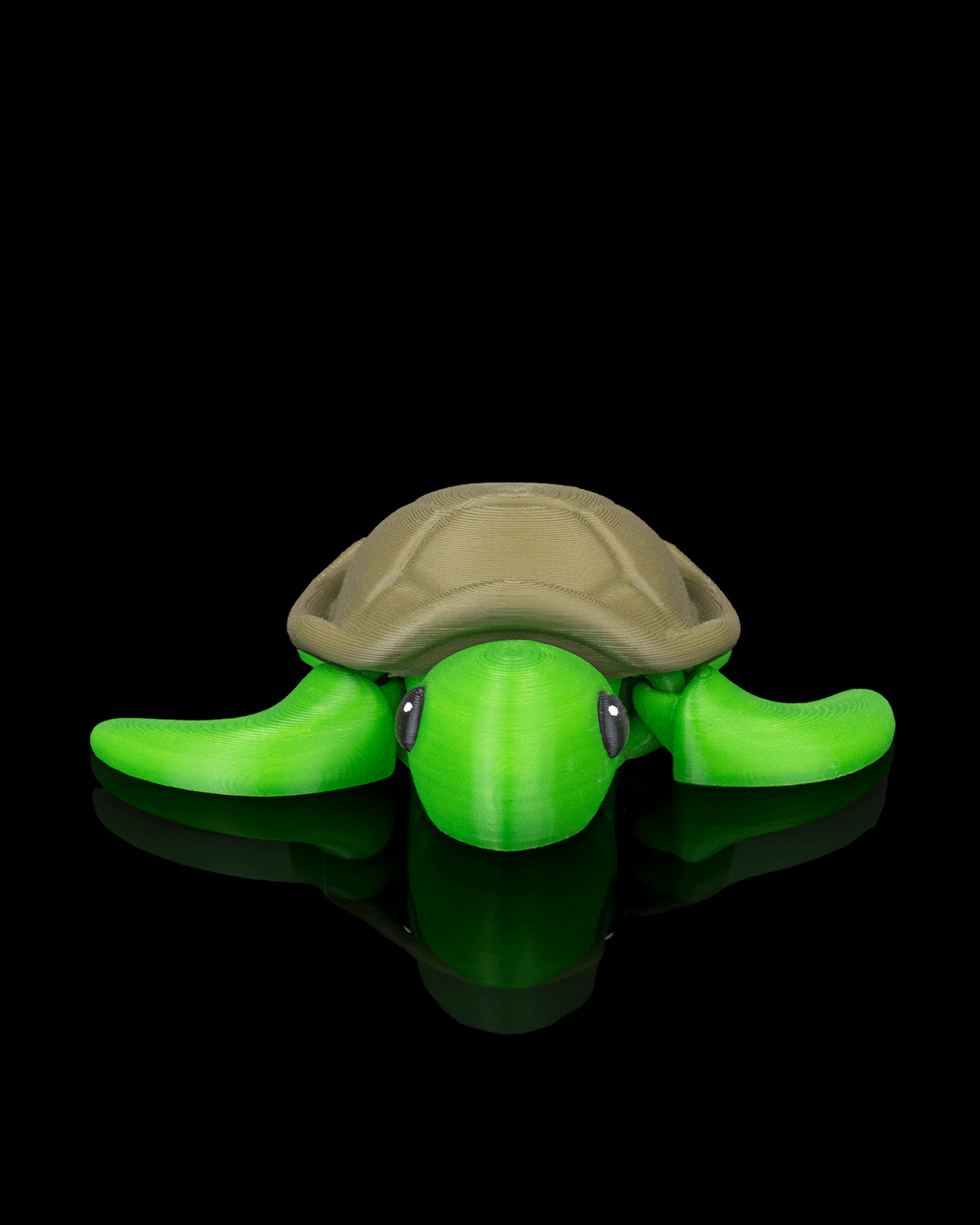 Slow Turtle - view 5
