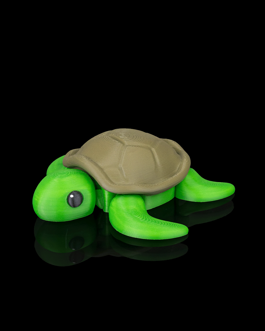 Slow Turtle - view 2