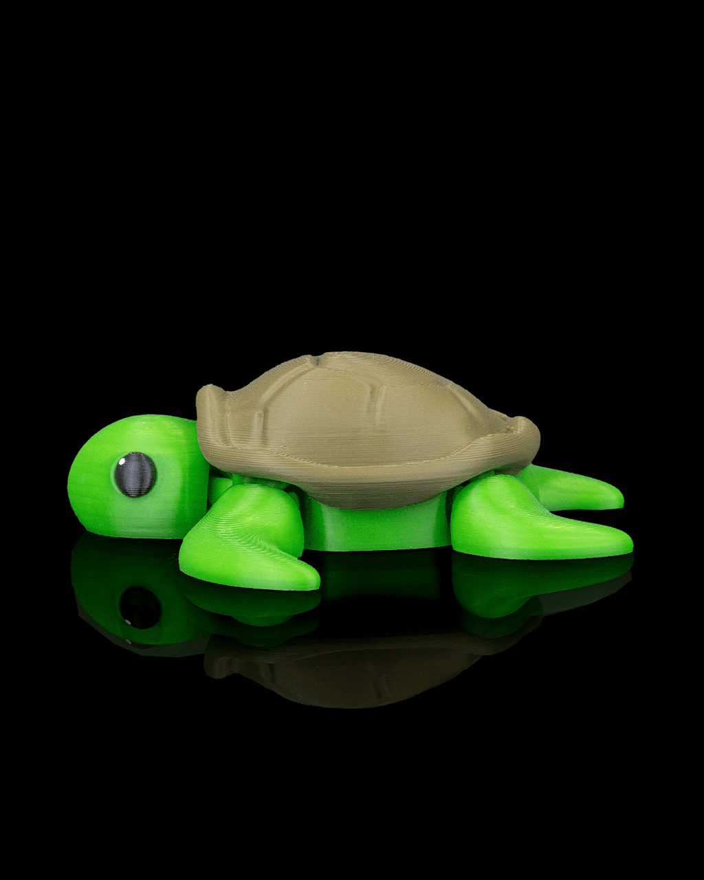 Slow Turtle - view 6