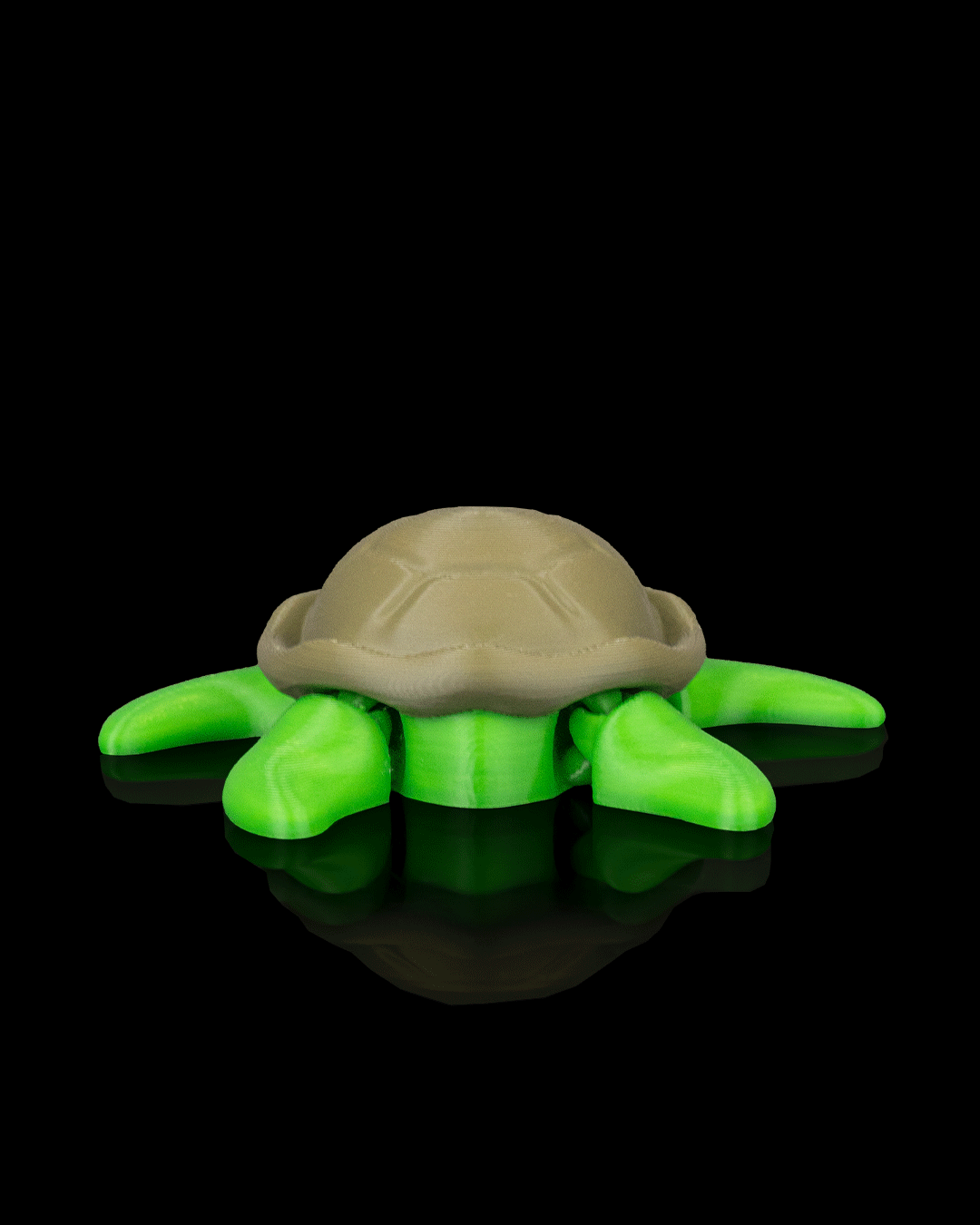 Slow Turtle - view 7