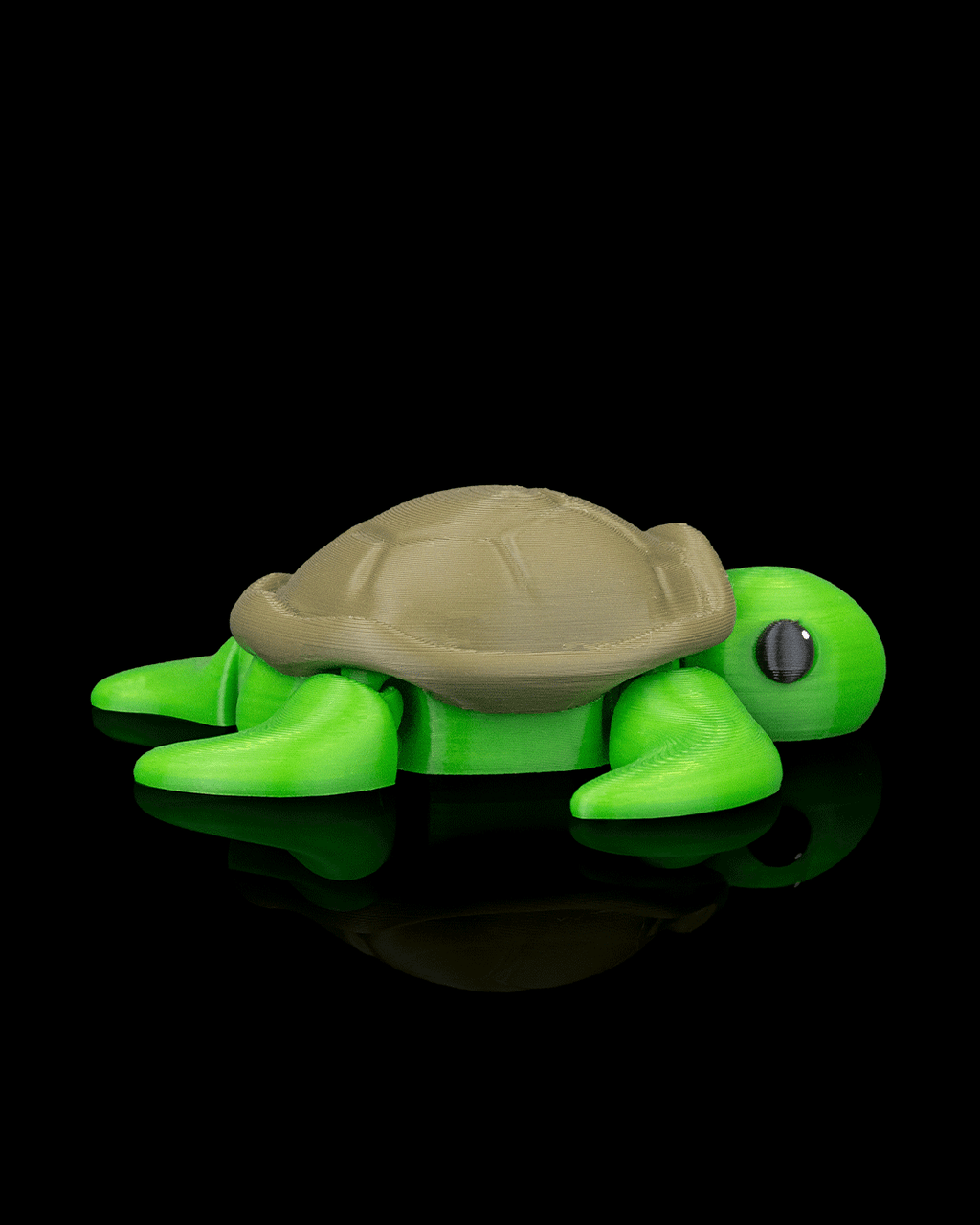 Slow Turtle - view 8