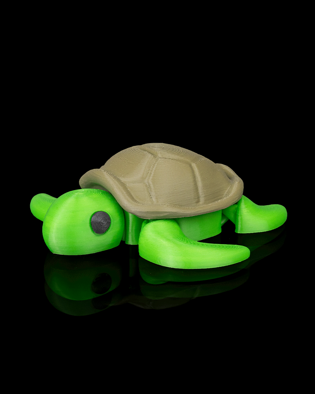 Slow Turtle - view 9