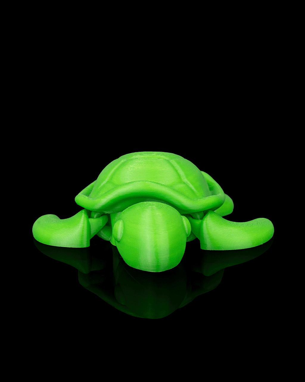 Slow Turtle - view 11