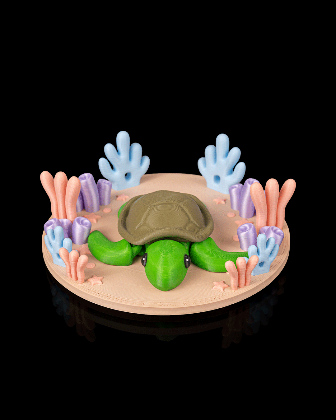 Slow Turtle - view 3