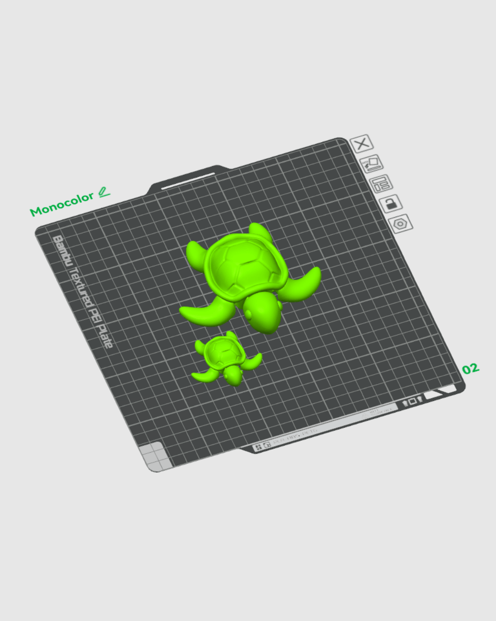 Slow Turtle - view 13