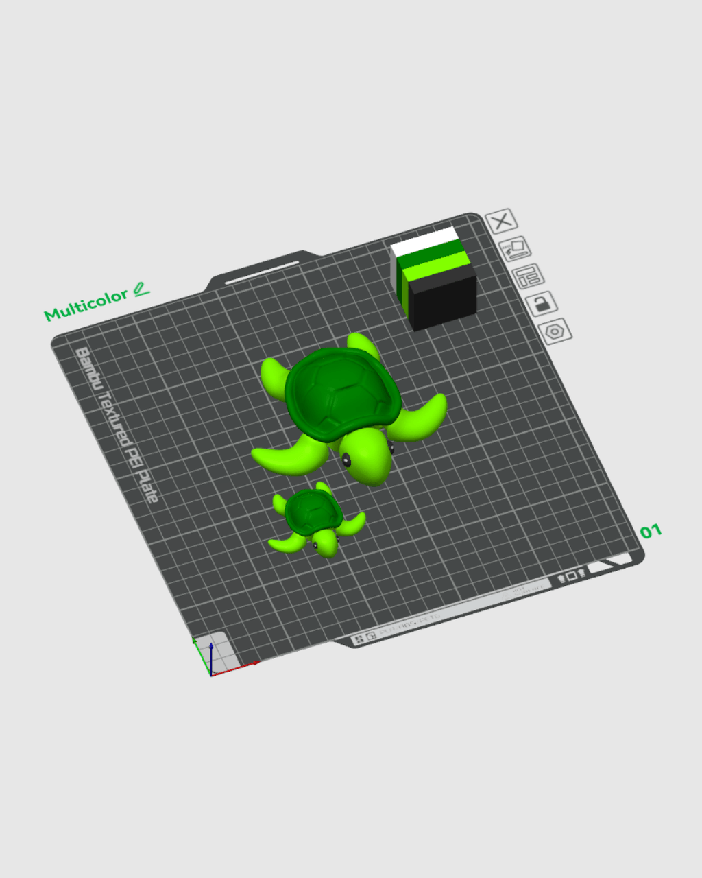 Slow Turtle - view 12