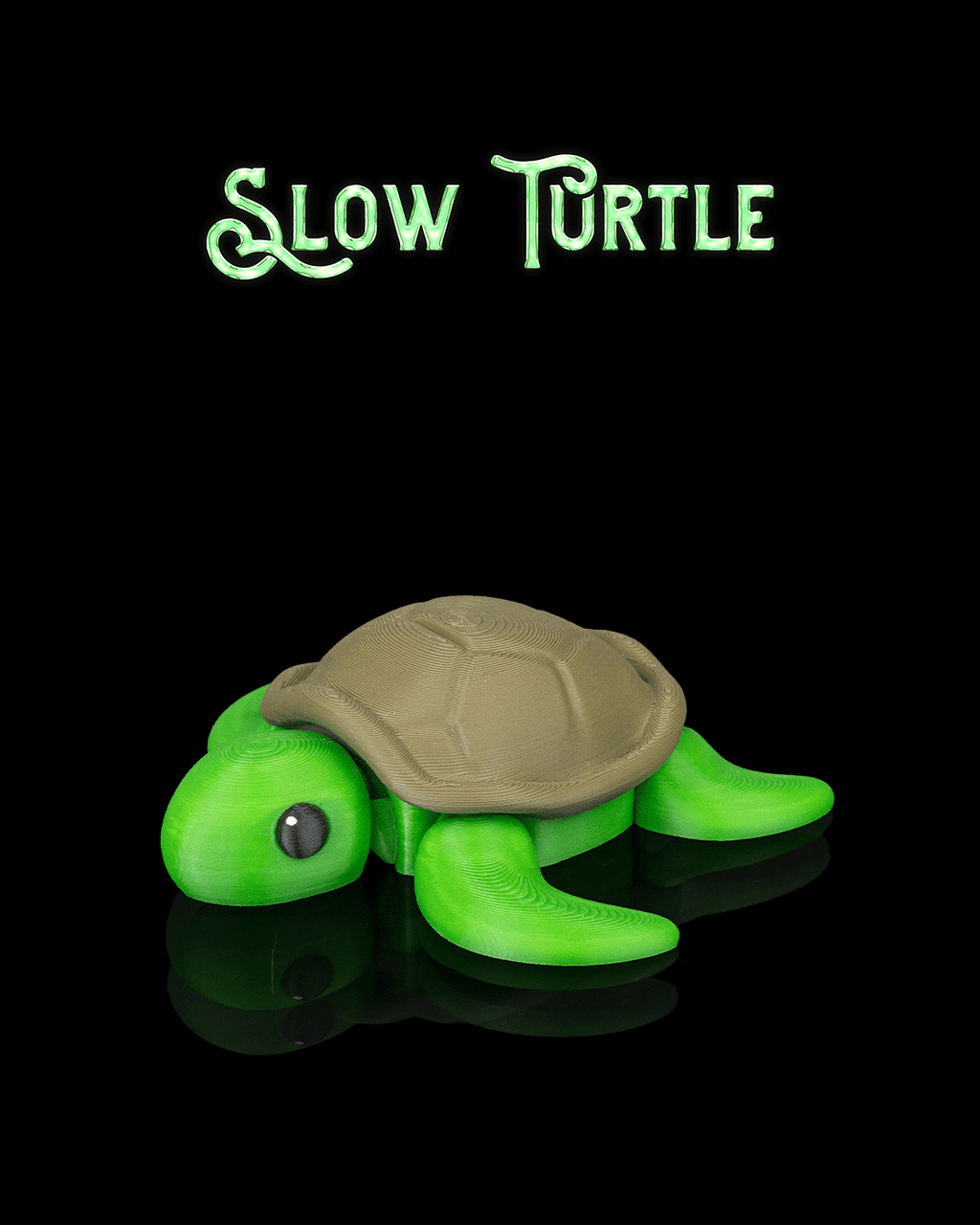 Slow Turtle
