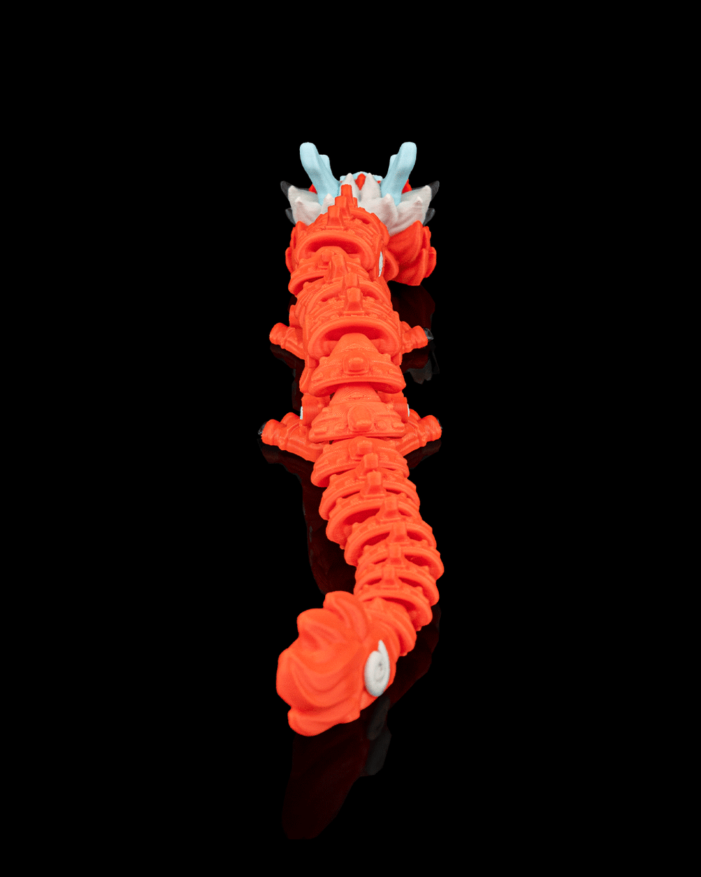 The Celestial Coil - view 5