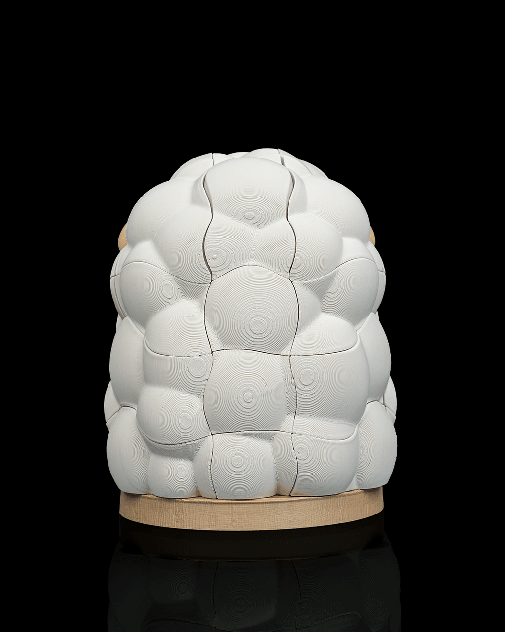 Wooly Build - view 5