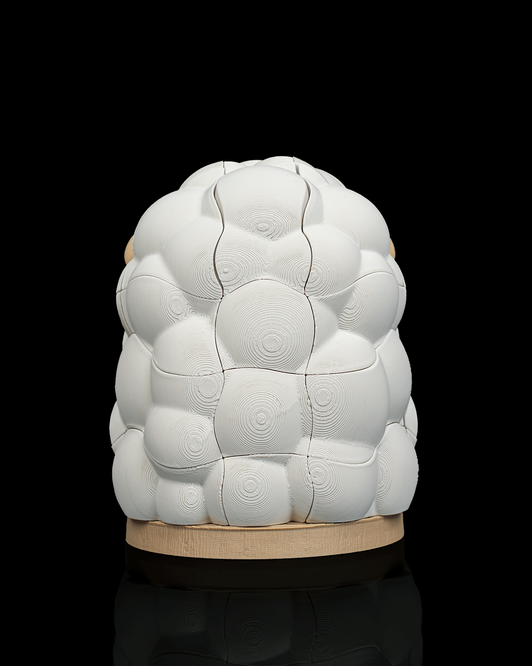 Wooly Build - view 5