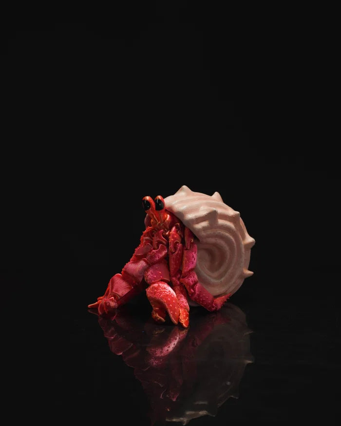 Hermes Hermit Crab – 3D Printed Articulated Animal
