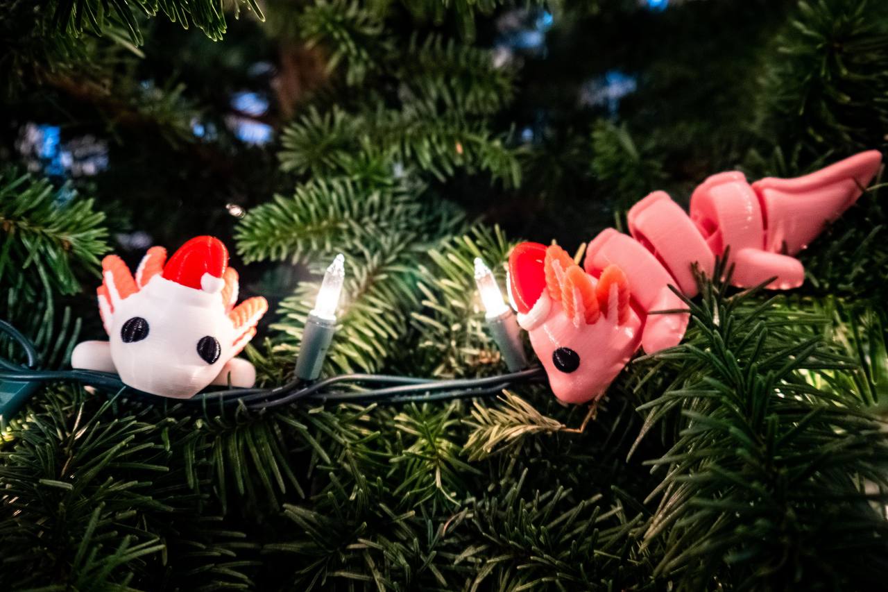 Festive Axolotl Pair