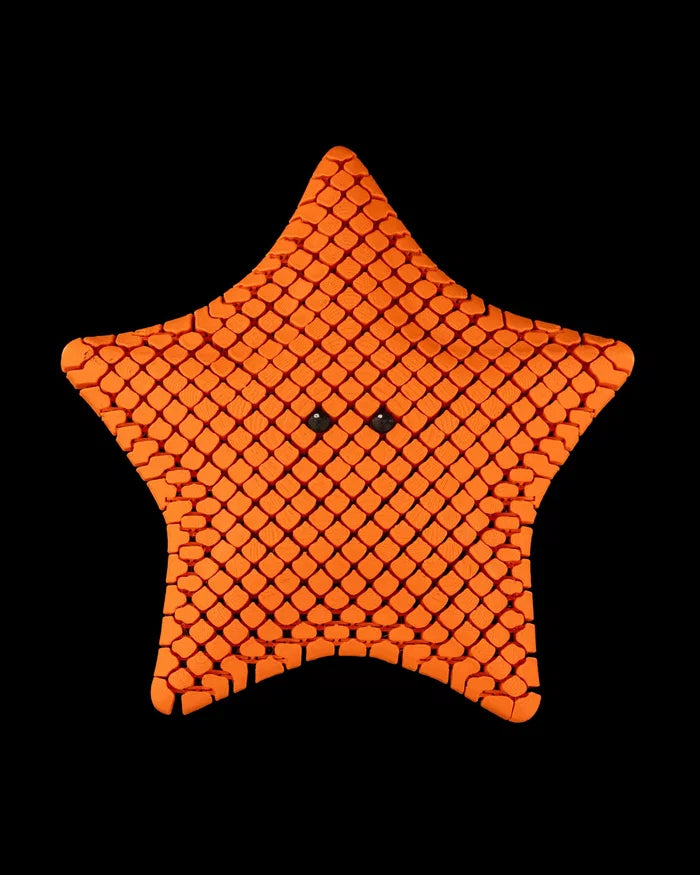 Betsie the Bat Sea Star – 3D Printed Ocean Toy