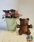 Cute Bear Phone Stand colorful finished 3D printed product