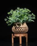 Elson Planter – 3D Printed Mini Succulent Pot