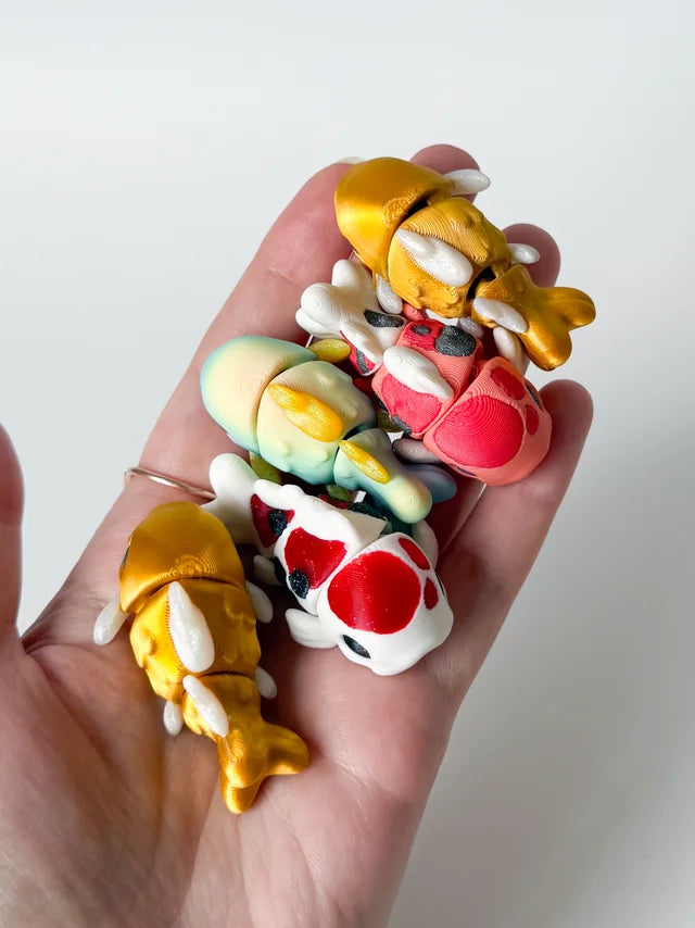 Fish Flexi colorful 3D printed product