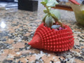 Hedgehog Succulent Planter