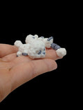 3D Tinys Baby Poodle 3D printed product