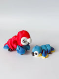 Macaw Flexi