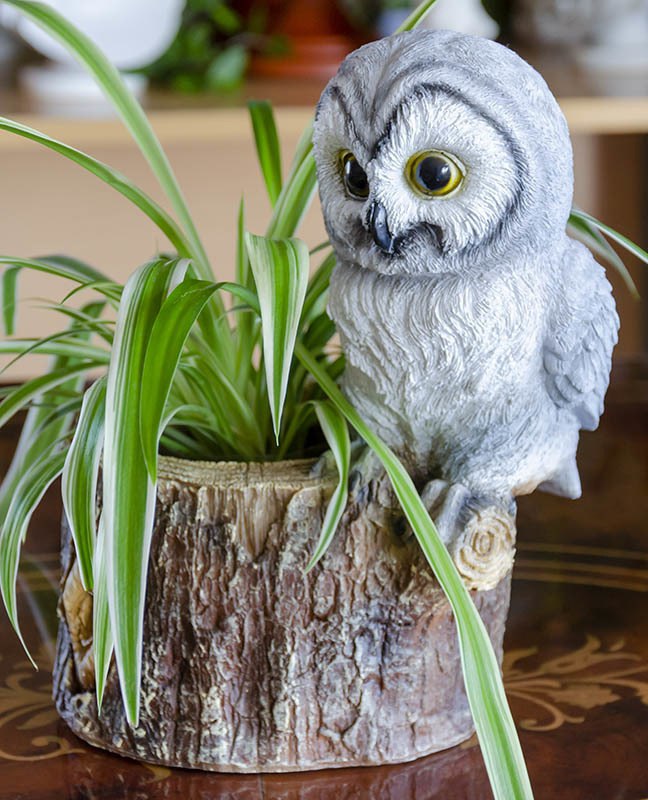 Owl Planter