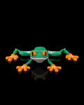 Reed Red-Eyed Tree Frog – 3D Printed Animal Figurine