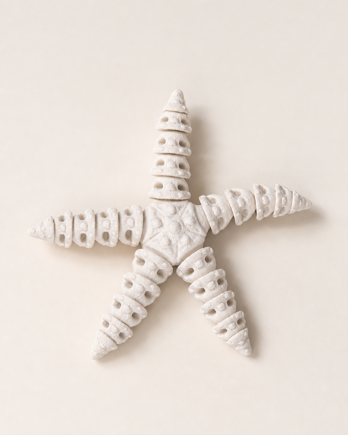 Skeleton Starfish