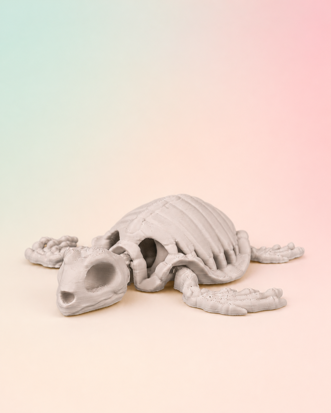 Skeleton Turtle