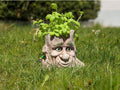 Tree Face Planter