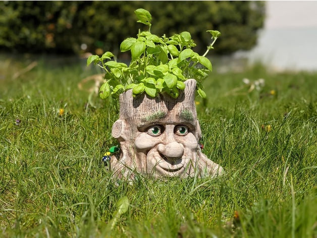 Tree Face Planter